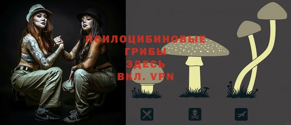 прущий лед Алексин